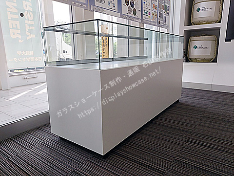 0160 宝飾ブランドカンターケース　ホワイト