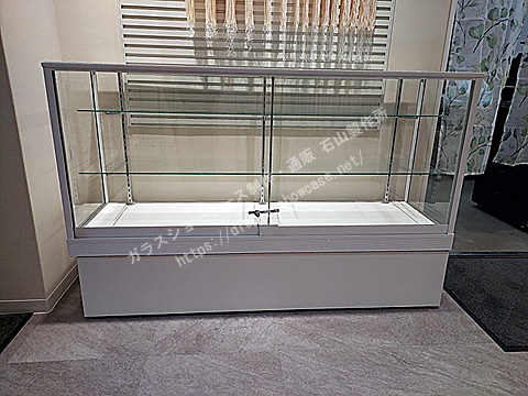 0163 標準型ショーケース 平ケース